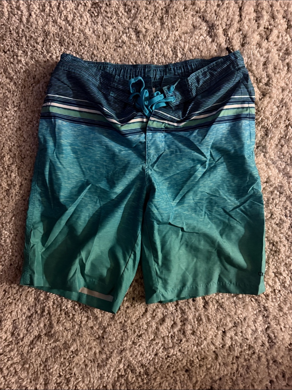 Calvin Klein Swim Shorts